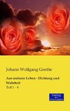 Aus meinem Leben - Dichtung und Wahrheit