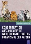 Konzentration auf Zahlen für die Wiederherstellung des Organismus der Katzen