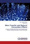 Mass Transfer and Natural Convection Effects