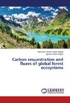 Carbon sequestration and fluxes of global forest ecosystems