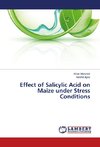 Effect of Salicylic Acid on Maize under Stress Conditions