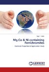 Mg,Co & Ni containing Ferrichromites