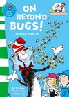 On Beyond Bugs