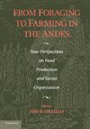 From Foraging to Farming in the Andes