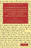 A Compendium of the Comparative Grammar of the Indo-European, Sanskrit, Greek and Latin Languages