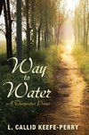 WAY TO WATER