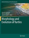 Morphology and Evolution of Turtles