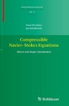 Compressible Navier-Stokes Equations