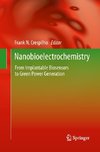 Nanobioelectrochemistry