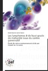 Les lymphomes B de haut grade de malignité issus du centre germinatif