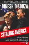 D'Souza, D: Stealing America LP