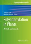 Polyadenylation in Plants