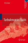 Turbulence in Fluids