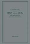 Fuß und Bein