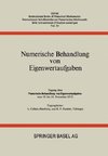 Numerische Behandlung von Eigenwertaufgaben