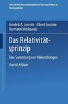 Das Relativitätsprinzip