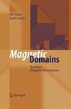 Magnetic Domains