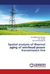 Spatial analysis of thermal aging of overhead power transmission line