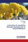 Induction of variability through mutagenesis in chrysanthemum