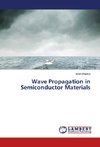 Wave Propagation in Semiconductor Materials