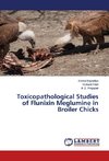 Toxicopathological Studies of Flunixin Meglumine in Broiler Chicks