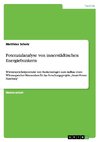 Potenzialanalyse von innerstädtischen Energiebunkern