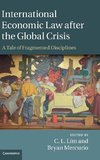 International Economic Law after the Global             Crisis