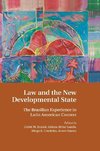 Law and the New Developmental State