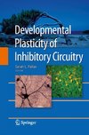 Developmental Plasticity of Inhibitory Circuitry