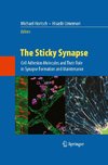 The Sticky Synapse