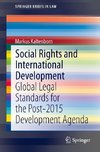 Social Rights and International Development