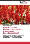 Ciclo de vida de Phenacoccus similis (Hemiptera: Pseudococcidae)