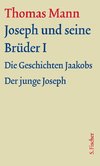 Joseph und seine Brüder I