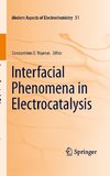 Interfacial Phenomena in Electrocatalysis