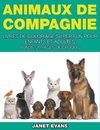 Animaux de Compagnie