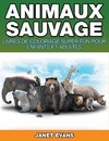 Animaux Sauvages