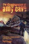 DISAPPEARANCE OF AMY CASE     PB