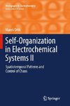 Self-Organization in Electrochemical Systems II