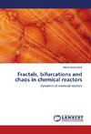 Fractals, bifurcations and chaos in chemical reactors