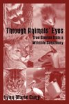 Through Animals' Eyes