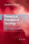 Theoretical Principles of Sociology, Volume 2