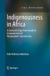 Indigenousness in Africa