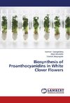 Biosynthesis of Proanthocyanidins in White Clover Flowers