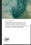 Propriétés mécaniques et de transport des verres fissurés