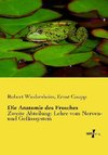 Die Anatomie des Frosches