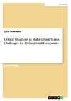 Critical Situations in Multicultural Teams. Challenges for Multinational Companies