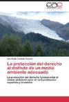 La protección del derecho al disfrute de un medio ambiente adecuado