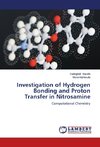 Investigation of Hydrogen Bonding and Proton Transfer in Nitrosamine