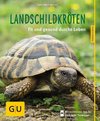 Landschildkröten