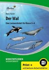 Der Wal. Grundschule, Sachunterricht, Klasse 3-4